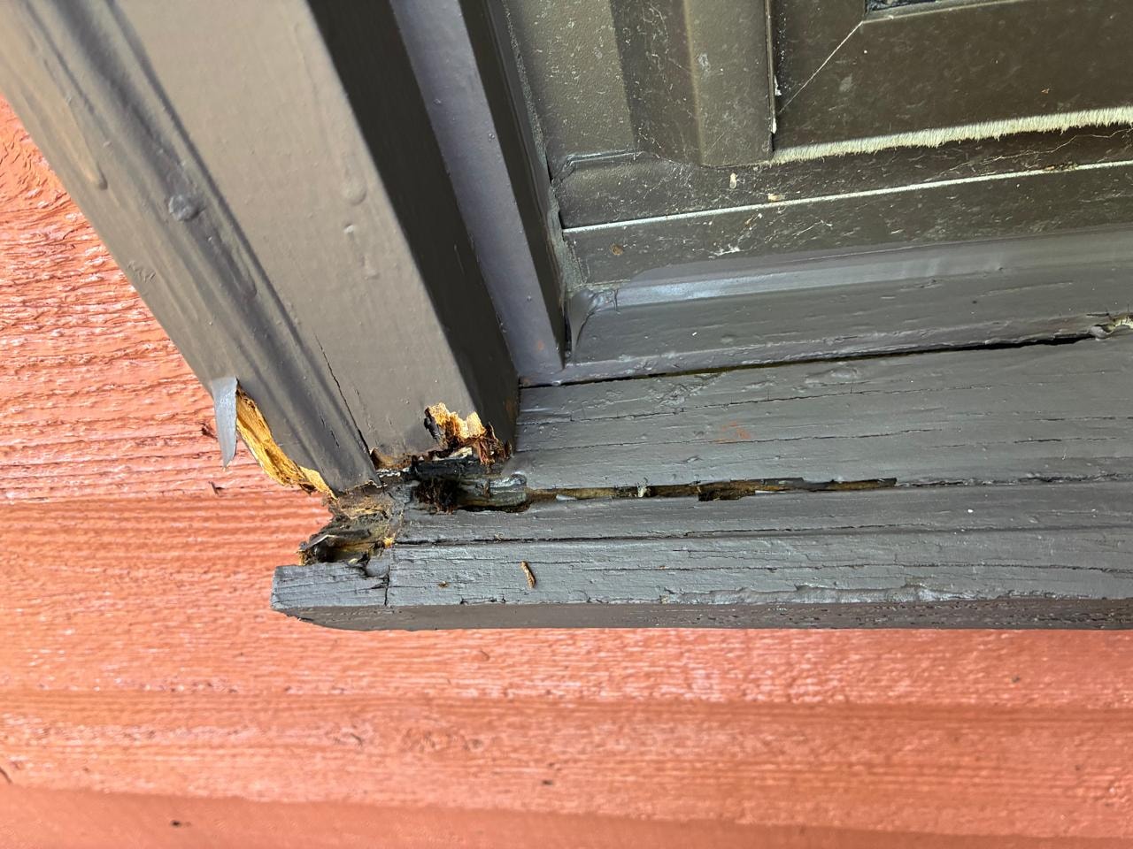 Window Frame Rot — Damage Assessment (3 of 4)