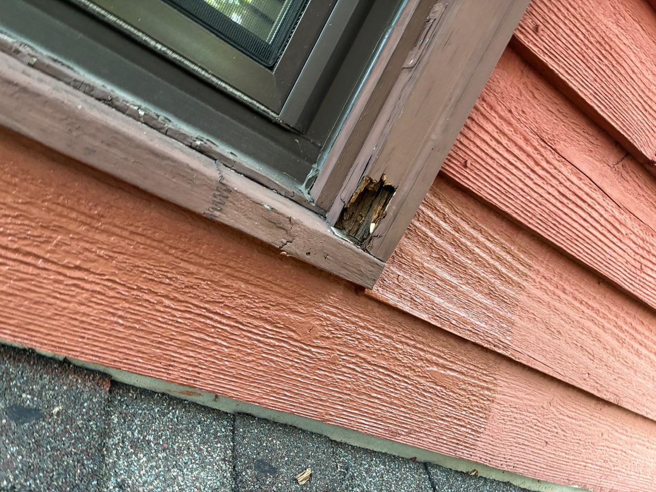 Window Frame Rot — Damage Assessment (4 of 4)